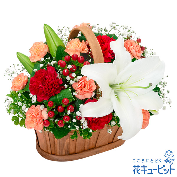 【目上の方に贈る誕生日フラワーギフト】白ユリと赤のハーモニーバスケット花を引き立たせるナチュラルなウッドバスケット