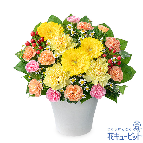 【卒園卒業・入園入学祝い】イエローガーベラのミックスアレンジメント元気がもらえるフレッシュな色合いのアレンジメント