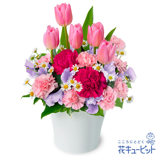 【成人の日】ピンクチューリップのキュートなアレンジメントまるで花壇のような生き生きとしたデザイン