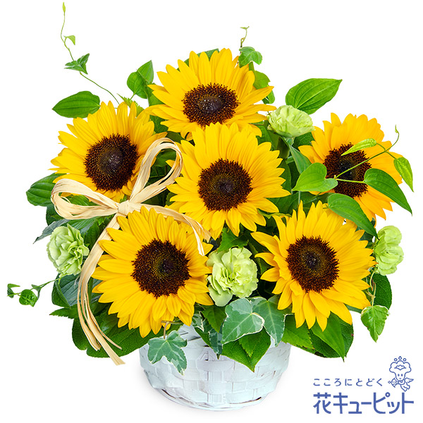 【夏の花贈り・お中元・暑中見舞い】ひまわりのシンプルなアレンジメントひまわりにさりげなくクラフトリボンを添えて