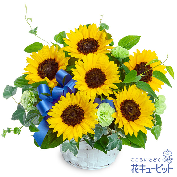 ひまわりとブルーリボンのアレンジメント - 7月の誕生花（ひまわり