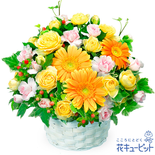 【誕生日フラワーギフト】オレンジガーベラのアレンジメント見る人の心を元気にしてくれるアレンジメント