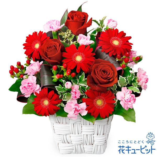 【フラワーアレンジメント】赤バラとガーベラのアレンジメント様々なシーンに合う深い色合い