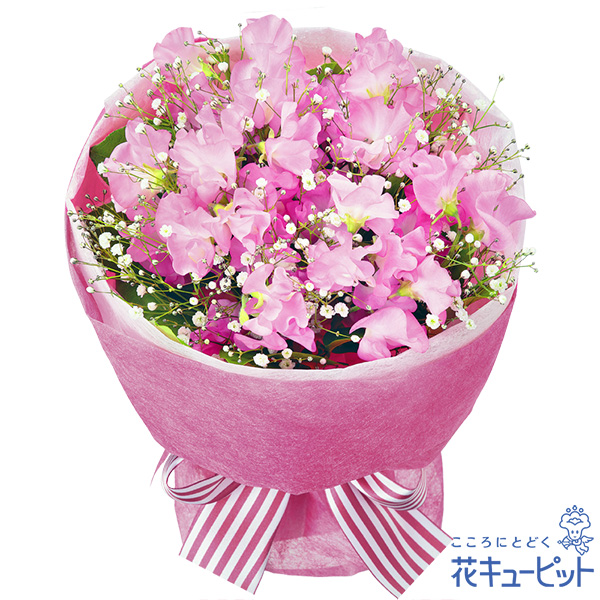 【1月の誕生花（スイートピー）】ピンクスイートピーの花束スイートピーを甘さたっぷりにまとめました