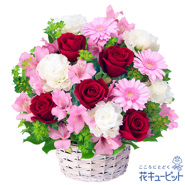 【開店祝い・開業祝い】赤バラとアルストロメリアのアレンジメント赤バラが印象的なアレンジメント