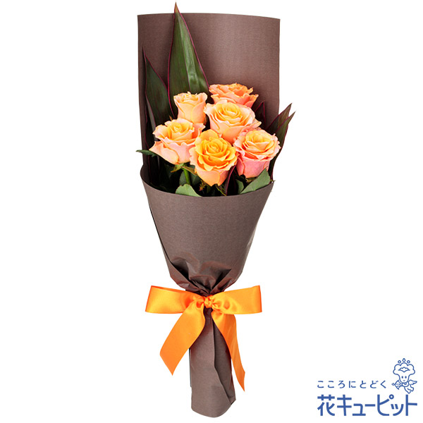 バラの花冠 Amazon | 礎の花冠【通常盤】 | Roselia | アニメ | ミュージック