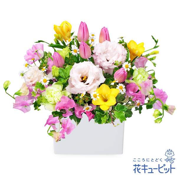 【お祝い】ピンクとイエローのキューブアレンジメントチューリップなどの花々が春の風を運んでくれそう