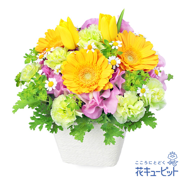 【チューリップ特集】春のガーデンアレンジメント（イエロー）蝶々が遊びにやってきそうなデザイン