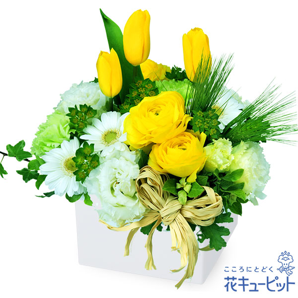 【誕生日フラワーギフト】イエローとホワイトのキューブアレンジメントナチュラルなデザインが男女問わず喜ばれます