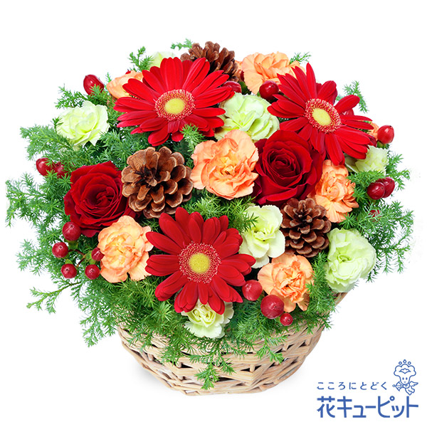 クリスマス特集2025｜花・花束・アレンジメント・プリザーブド