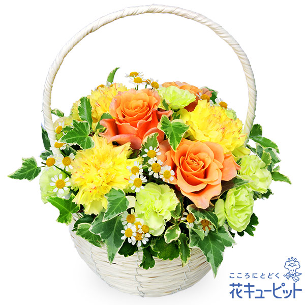 はなすけ 花助（はなすけ）｜高槻市市営葬儀登録業者｜高槻市安満東での仏