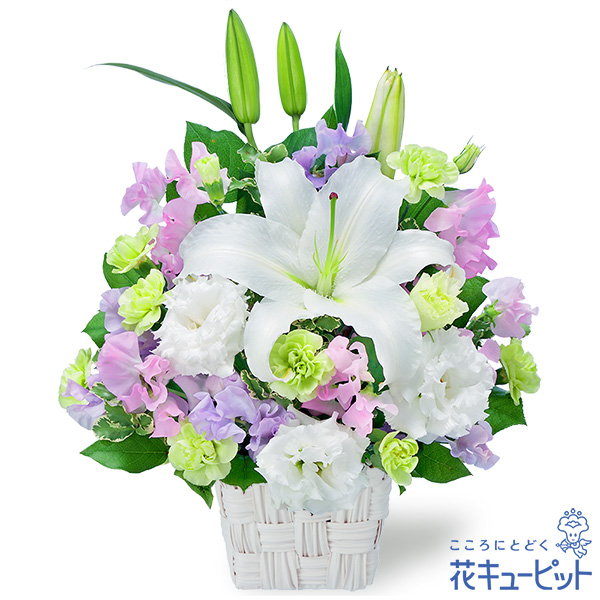 【四十九日法要以降に贈る花】春のお供えのアレンジメント受け取った方の気持ちをほぐしてくれるアレンジメント