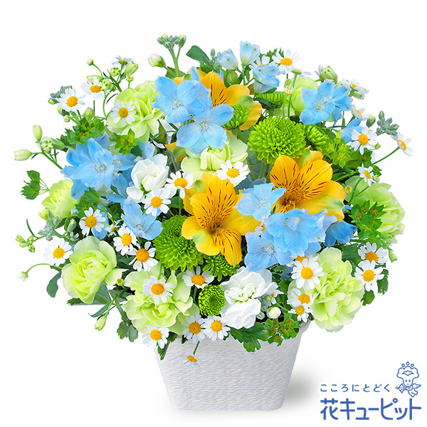 【春のお彼岸】春のお供えのアレンジメント透き通るような優しい春の風を表現しています