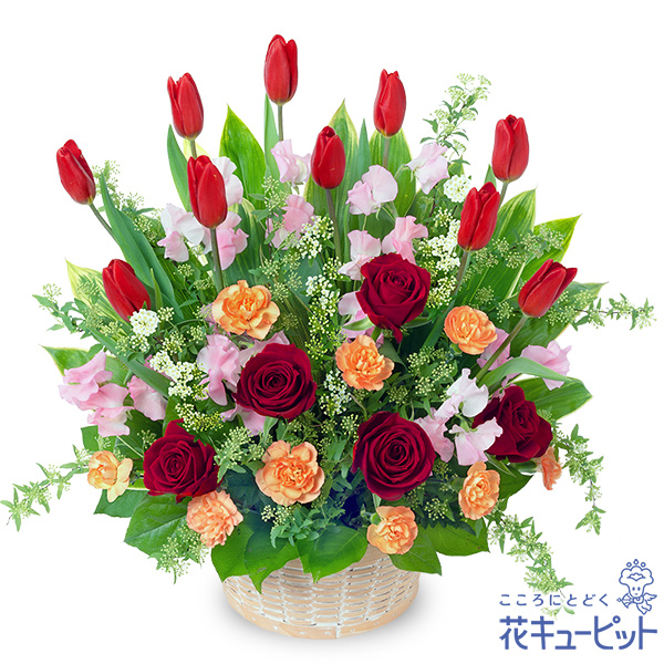 赤チューリップの華やかアレンジメント - 誕生花 2月（チューリップ