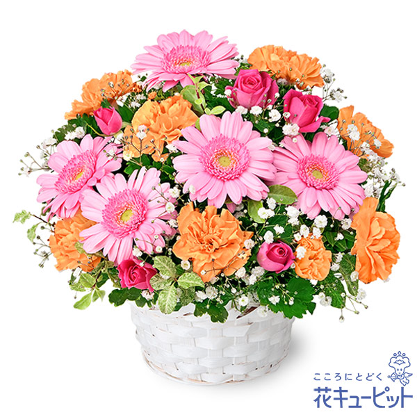 【11月の誕生花（ガーベラ）】ピンクガーベラのアレンジメントピンクが大好きな方へたっぷりなお花をお届け