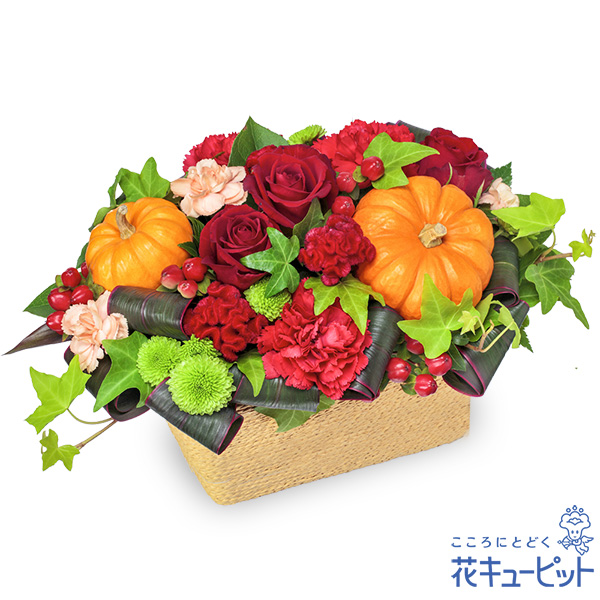 【ハロウィン】ハロウィンのパンプキンアレンジメントコロンと愛らしいかぼちゃがアクセント
