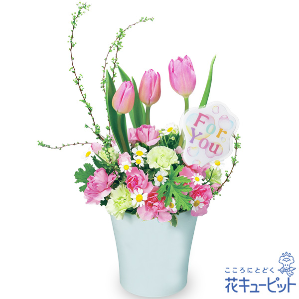 春のチューリップアレンジメント - 卒園卒業・入園入学祝い｜｜花や