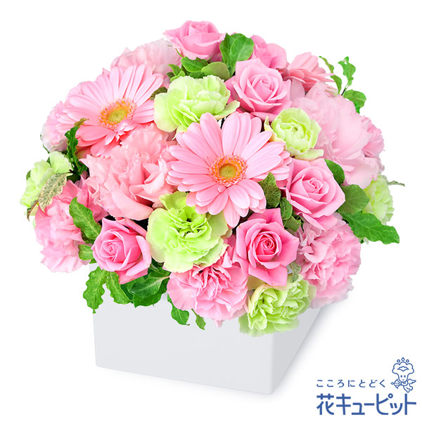 【友達に贈る誕生日フラワーギフト】ピンクガーベラのキューブアレンジメントパステルピンクのお花が、気持ちを明るくしてくれます