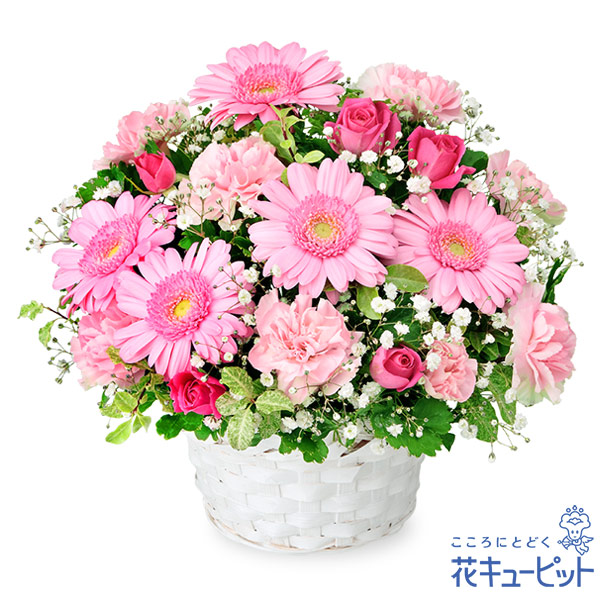 専用フラワーアレンジ　ガーベラ プチ贅沢なアレンジ PinkCandy (ガーベラとspバラのフラワー