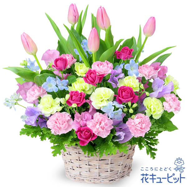 チューリップのミックスアレンジメント - お誕生日祝い(法人