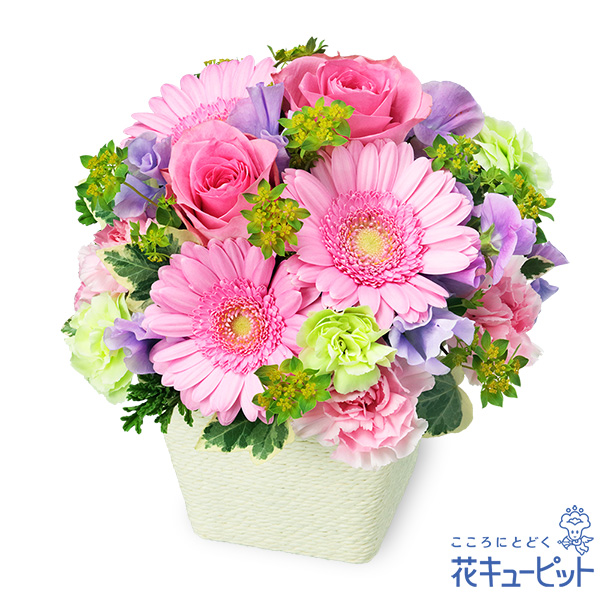 【お見舞い】ピンクバラのスプリングアレンジメント春らしい雰囲気の可愛いアレンジメント