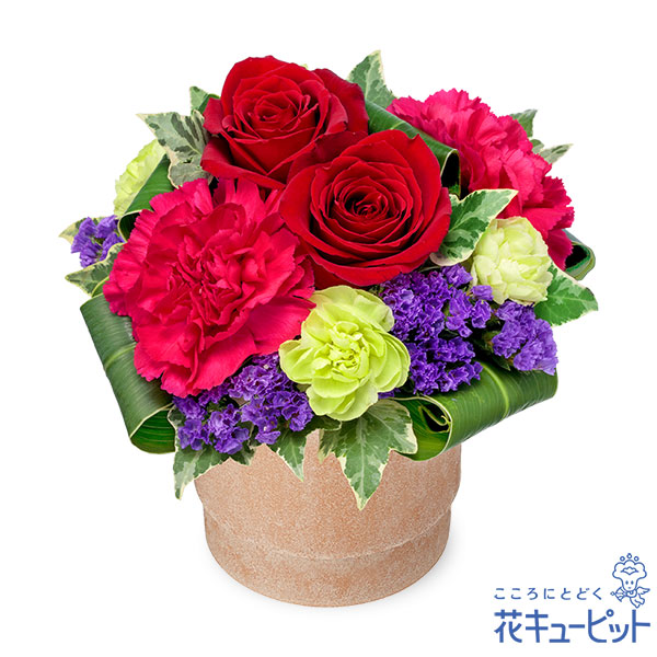 【フラワーアレンジメント】赤バラのミニポットアレンジメント大人っぽい色合いに仕上げました