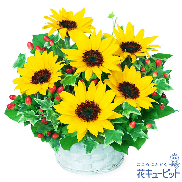【父の日ギフト ランキング】ひまわりのアレンジメントひまわりの可愛いアレンジメント