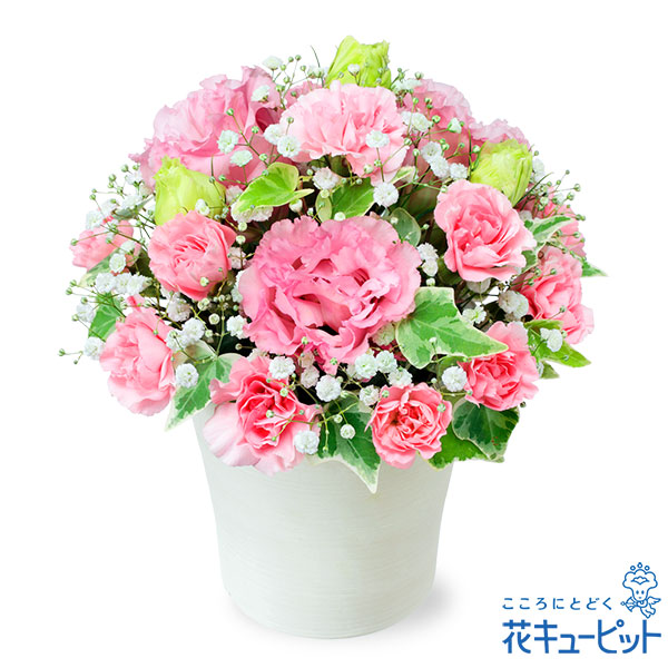 【結婚記念日】トルコキキョウのふんわりアレンジメント優美なピンクトルコキキョウが印象的