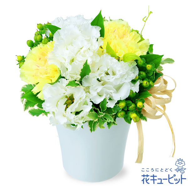 【誕生日フラワーギフト】トルコキキョウのナチュラルアレンジメントコンパクトサイズの気軽に贈れるフラワーギフト