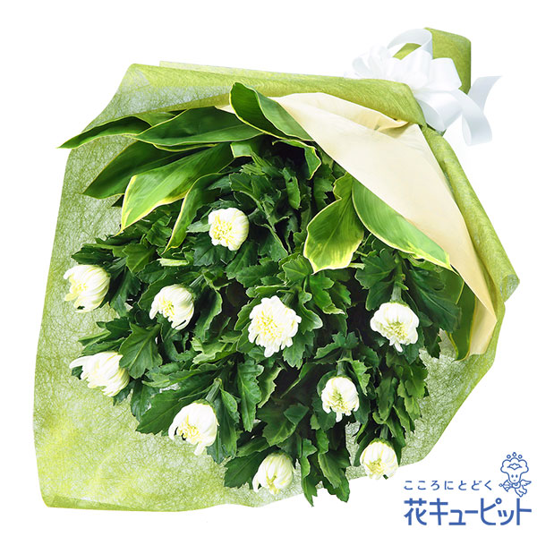 【春のお彼岸】お供えの花束故人を偲ぶ、白菊のシンプルな花束