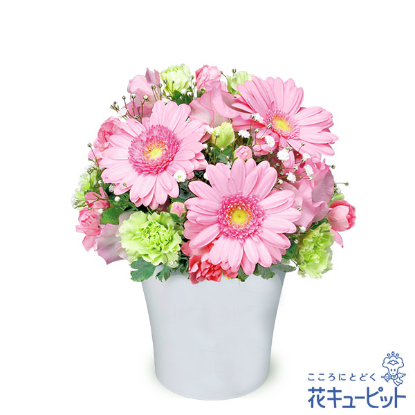 【目上の方に贈る誕生日フラワーギフト】ガーベラのエレガントアレンジメントエレガントでシンプルなアレンジメント