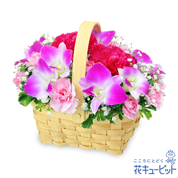 【お見舞い】デンファレのウッドバスケット鮮やかなピンクの花を詰めたバスケット