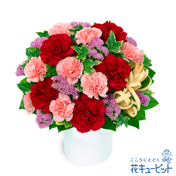 【お正月】赤とピンクのナチュラルなアレンジメント赤とピンクの王道カラーでまとめました