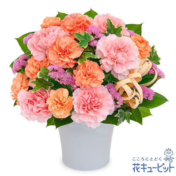 【卒園卒業・入園入学祝い】ピンクとオレンジのナチュラルなアレンジメントあたたかみのある暖色系でまとめました