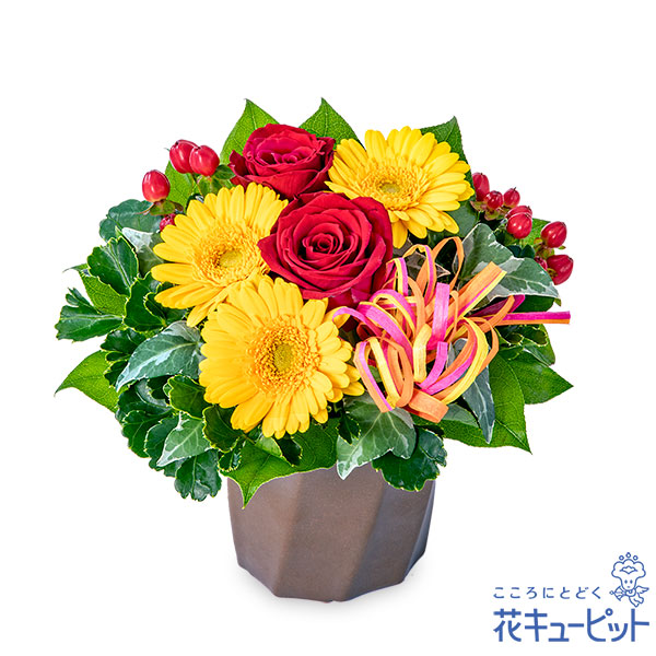 赤バラとガーベラのハミングアレンジメント - 12月の誕生花（赤バラ