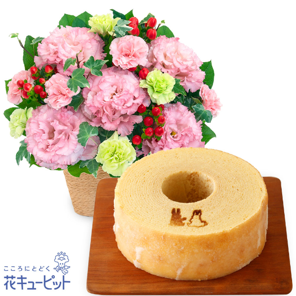 【お祝いセットギフト】トルコキキョウのナチュラルなアレンジメントと【果子乃季】うさぎの森のこもれびバウム職人が一層一層丁寧に焼き重ねた本格バウム