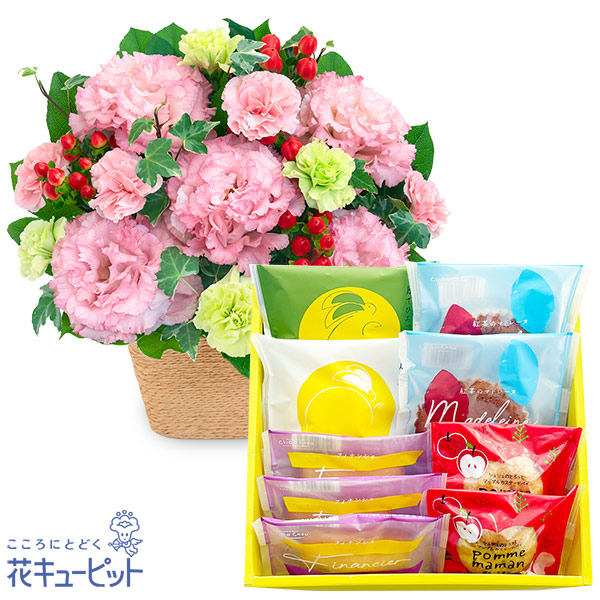 【お祝いセットギフト】トルコキキョウのアレンジと【シュシュ】焼き菓子アソート 5種9個入5種9個入りのバラエティ豊かな洋菓子アソート