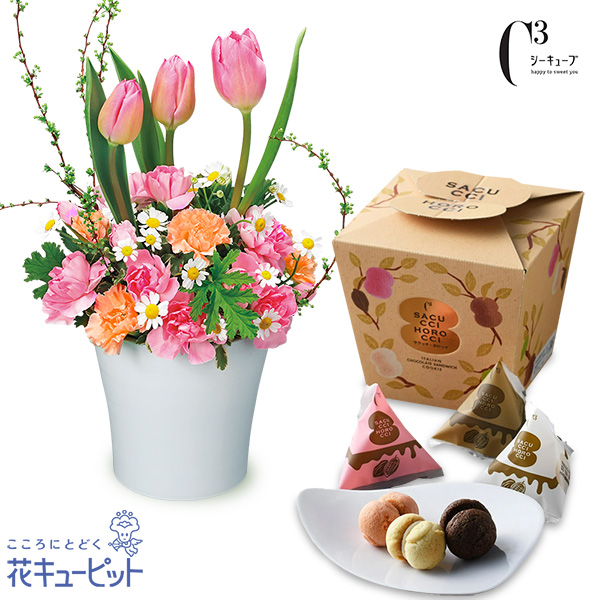 【春のセットギフト】チューリップのアレンジメントと【シーキューブ】サクッチ・ホロッチ 12個入ほろほろ食感のクッキーにチョコレートをサンド