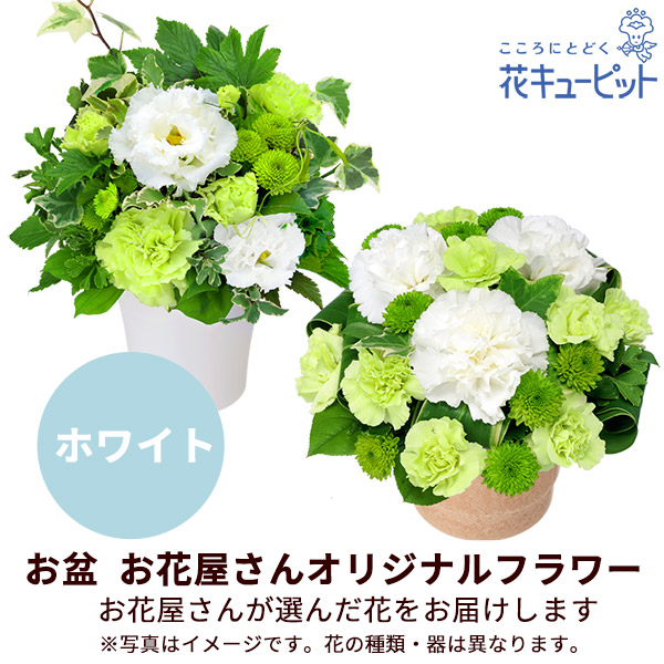 【お盆お花屋さんおすすめギフト】【花屋オリジナル】お供えのアレンジメント（白上がり）地域のしきたりに合わせた花をお届け