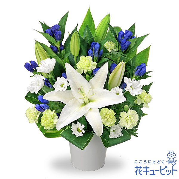 お盆 花（新盆・初盆）特集2025｜花・花束・フラワーギフトの