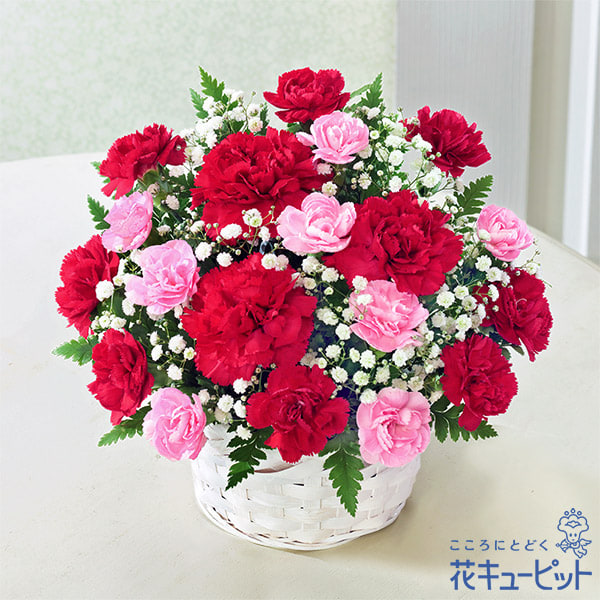 母の日 花のギフトにおすすめ 花の種類 花言葉 お手入れ方法特集23 花束 アレンジメントのフラワーギフト通販なら花キューピット 母の日 花のギフトにおすすめ 花の種類 花言葉 お手入れ方法特集23 花束 アレンジメントのフラワーギフト通販なら花キューピット