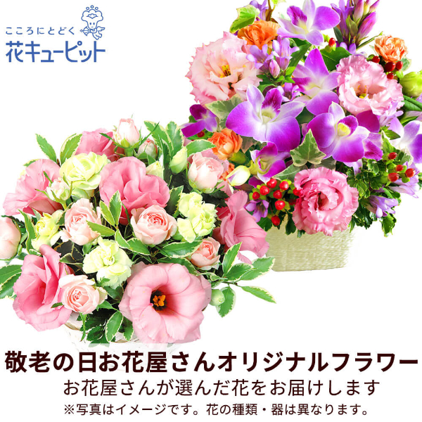 【敬老の日フラワー　遅れてごめんね】【お花屋さんおすすめ】オリジナルアレンジ鮮度の良いお花をお届け！