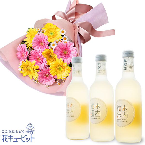 【お祝いセットギフト】ガーベラの花束としゅわしゅわ木内梅酒3本セットさわやかな香りとさらりとした喉ごしの梅酒セット