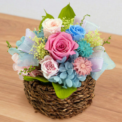 母の日 花のギフト・プレゼント