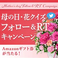 カーネーションの押し花 ドライフラワー 一輪挿し 素敵な楽しみ方をご紹介 花や花束の宅配 フラワーギフト通販なら花キューピット 贈り物 プレゼントで花を贈ろう