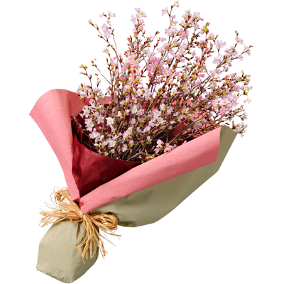 桜の誕生日ギフト｜花キューピットの春の誕生日プレゼントにおすすめ！人気のプレゼント特集 2022