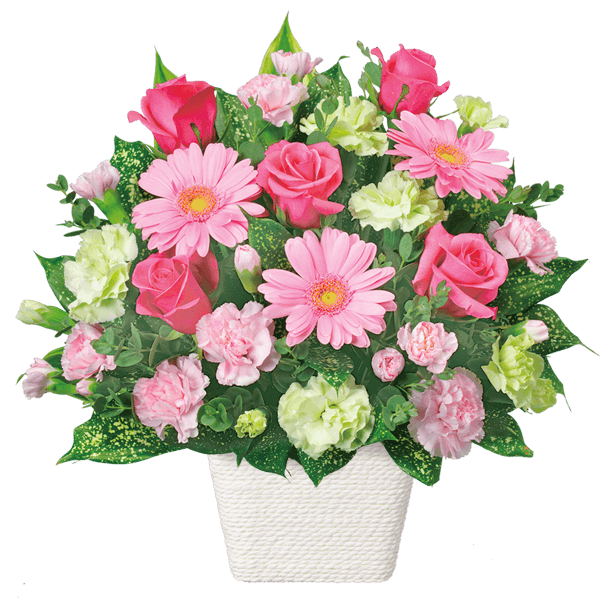 【3月の誕生花（ピンクガーベラ）】ピンクガーベラのアレンジメント