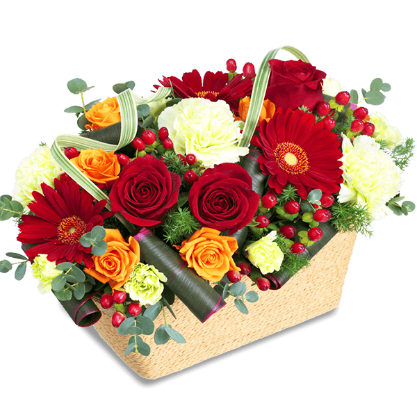 花キューピットの冬の花贈り特集 フラワーギフト通販なら花キューピット