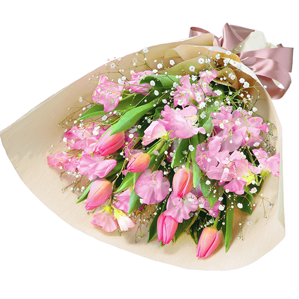 ピンク・赤のチューリップ｜花キューピットのチューリップ プレゼント・ギフトにおすすめ！人気のプレゼント特集 2022