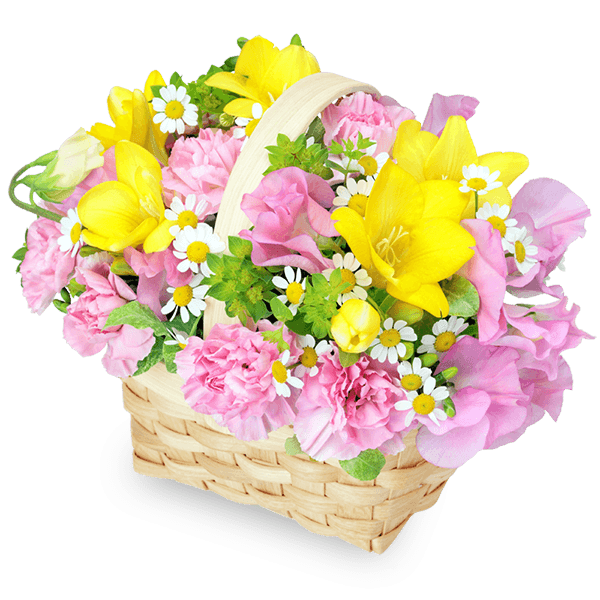春の誕生日の花 ギフト プレゼント特集22 花束 アレンジメントのフラワーギフト通販なら花キューピット